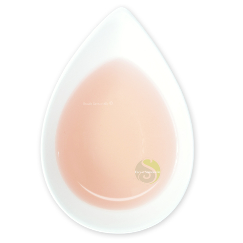 Boutons de rose rouge
