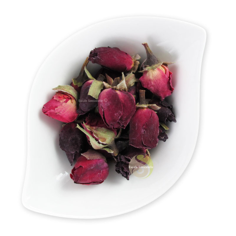 boutons de rose infusion bienfait vertus jolie peau