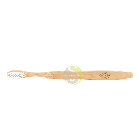 Brosse à dents bambou adulte