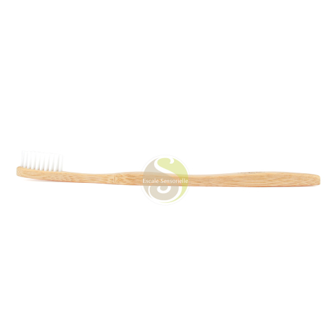 Brosse à dents bambou sans BPA poils nylon 6