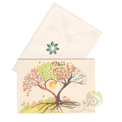 Carte postale arbre 4 saisons