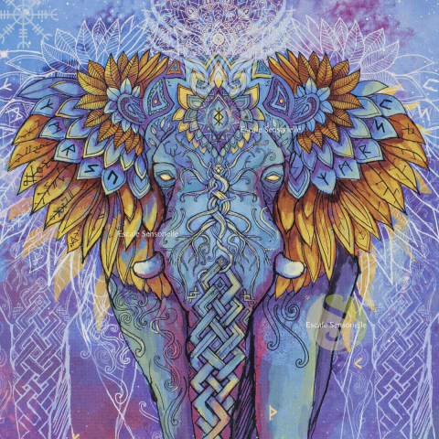 Carte postale éléphant