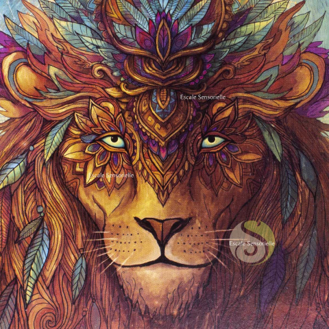 Carte postale lion