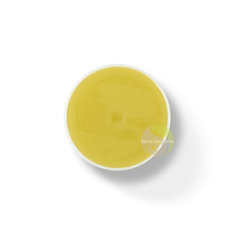 Stick nomade bio