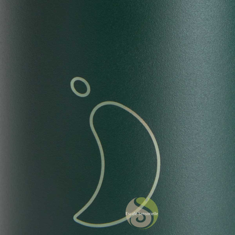 Bouteille isotherme matte all green 750 ml