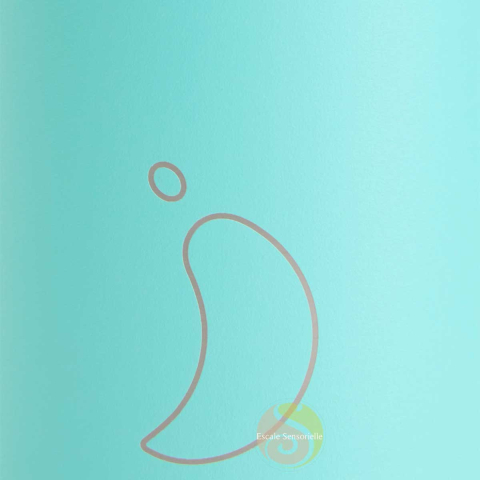 Bouteille isotherme pastel all green 750 ml