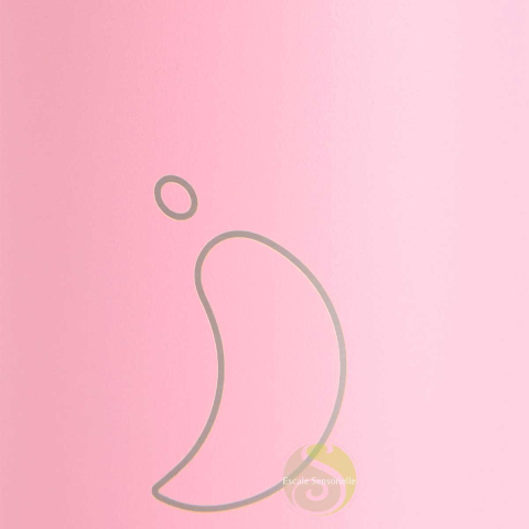 Bouteille isotherme pastel all pink 750 ml