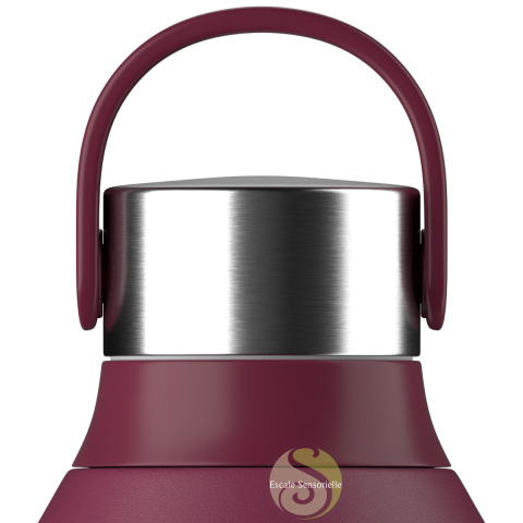 Bouteille isotherme série 2 plum red 350 ml