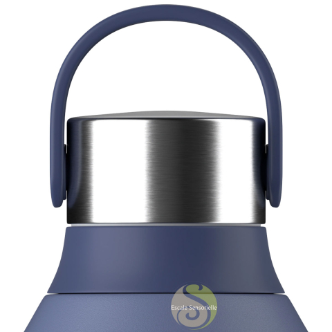 Bouteille isotherme série 2 whale blue 350 ml