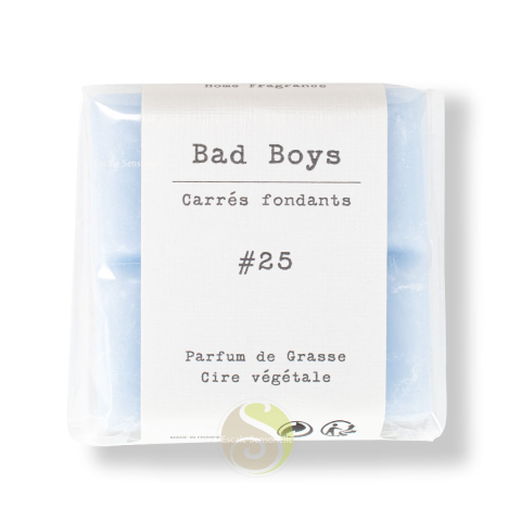 Bad boys cire parfumée senteur fraîche florale et boisée