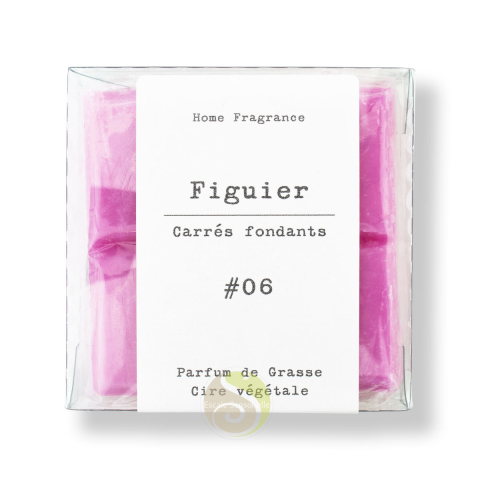 Figuier parfum diffuseur cire végétale parfum d'ambiance bougie
