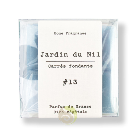 Cire au parfum du jardin du nil désodorisant d'intérieur carrés parfumés