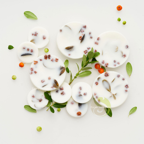 Fondants parfumés ashberries & bilberries leaves