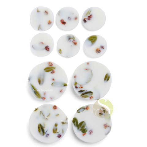 fondants parfumés ashberries & bilberries leaves coffret 100% végétales The munio 