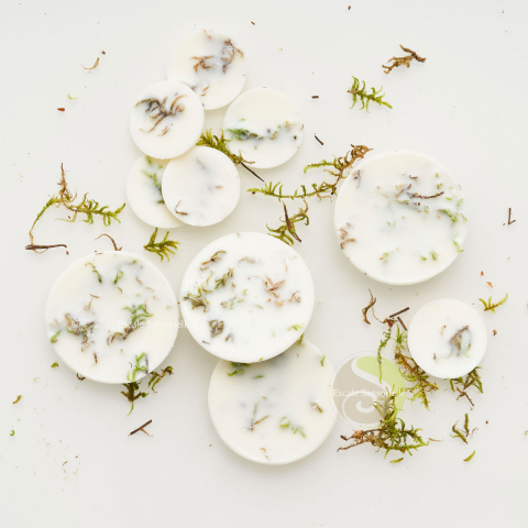 Fondants parfumés moss (mousse)
