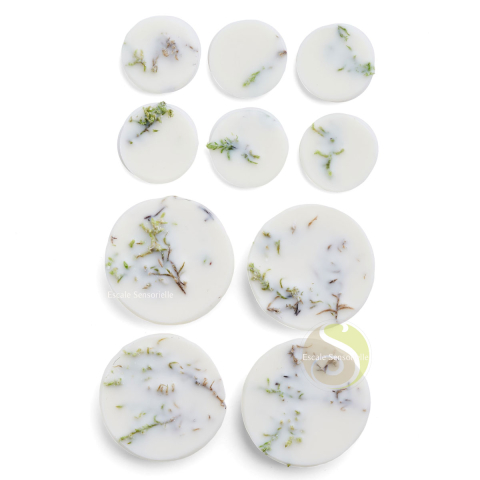 Fondants parfumés mousse (moss) coffret 100% végétales The Munio