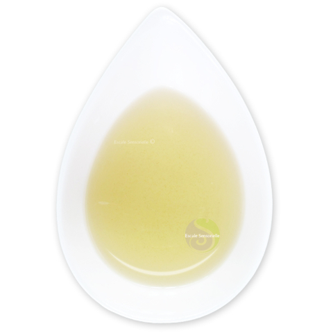 Citron gingembre