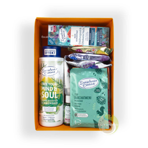 Coffret bain bien-être bain moussant huile, galet et sel de bain
