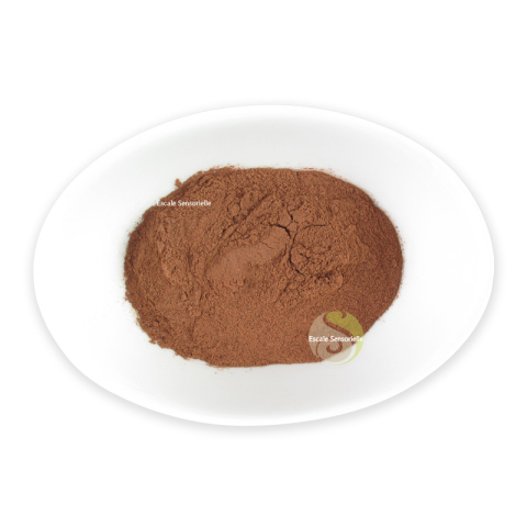 Noix de cola caféine stimulant aphrodisiaque énergie