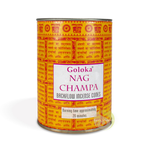Refoulement nagchampa cônes indien naturel Goloka