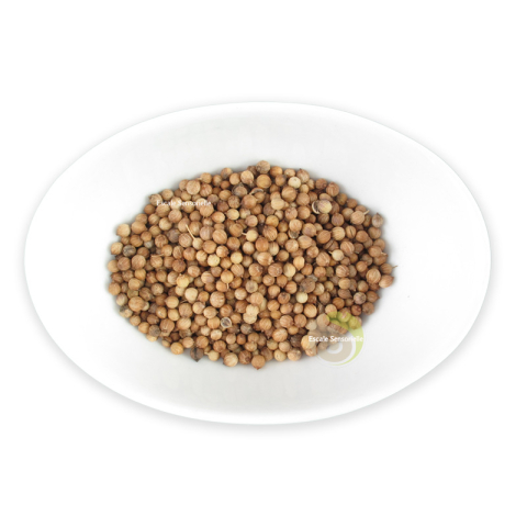 Graines de coriandres épices vertus recettes bienfaits marinades curry