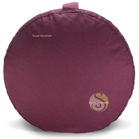 Coussin aubergine
