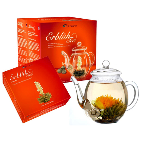 Comment préparer fleur de thé blanc coffret théière et fleurs de thé Creano