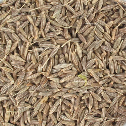 Cumin