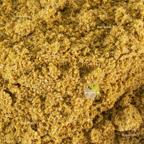 Cumin
