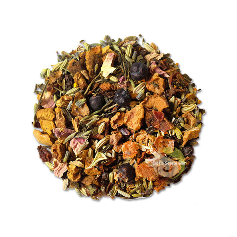 Thé vert premium mélange d'épices de fuits & d'herbes Bio (Detoxania)