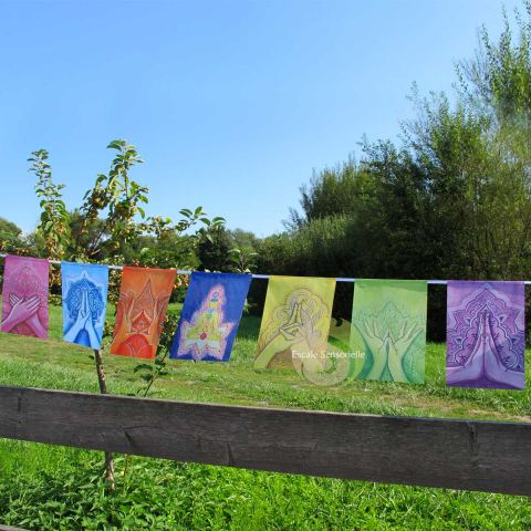 Drapeaux mudras