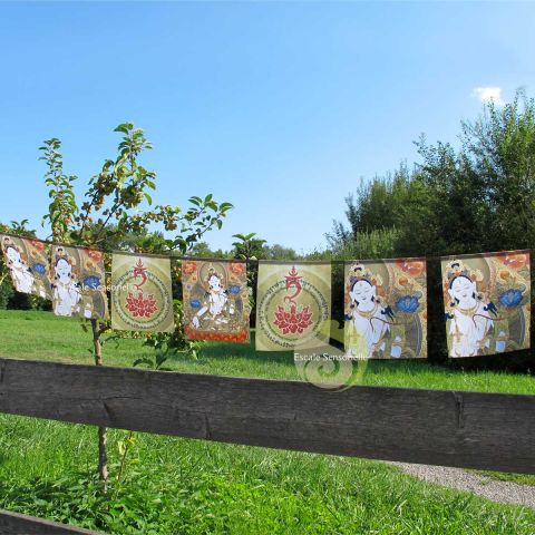 Drapeaux Tara blanche