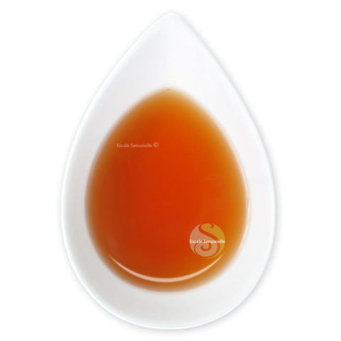 Earl Grey rose "Nuance de grey" 