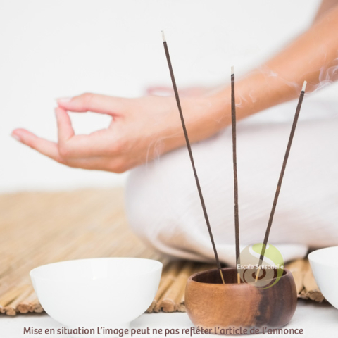 Encens Nag champa flora 15g