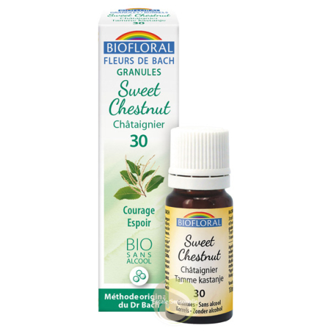 Châtaignier Bio fleur de Bach 30 Biofloral désespoir