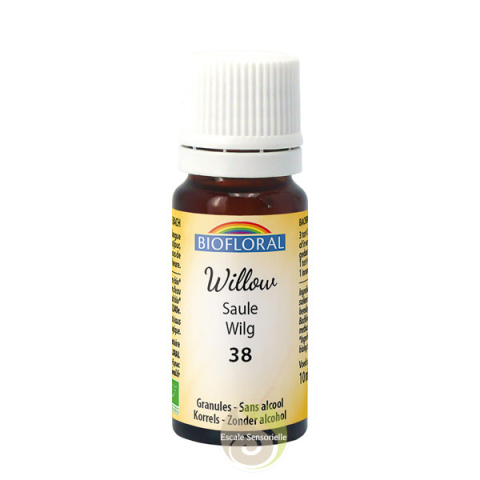 Fleur de Bach N°38 saule (willow) sans alcool
