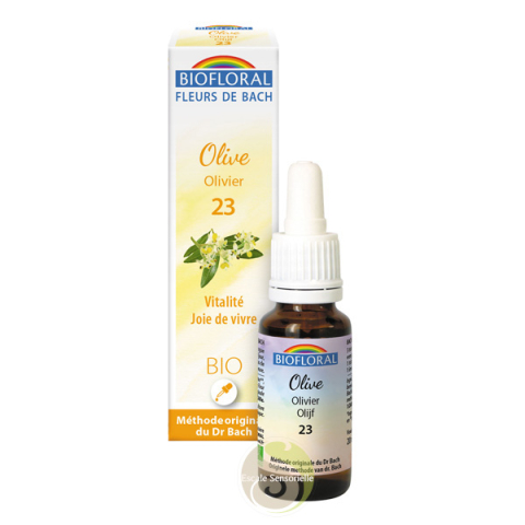 Olivier fleur de BACH vertus bienfaits Olive N°23