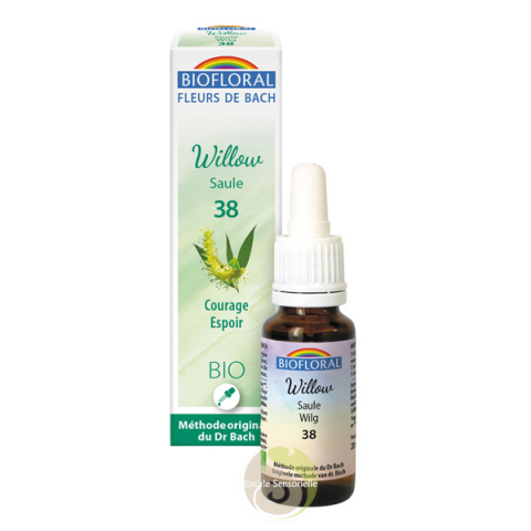 Willow saule Fleur de Bach Bio courage espoir 
