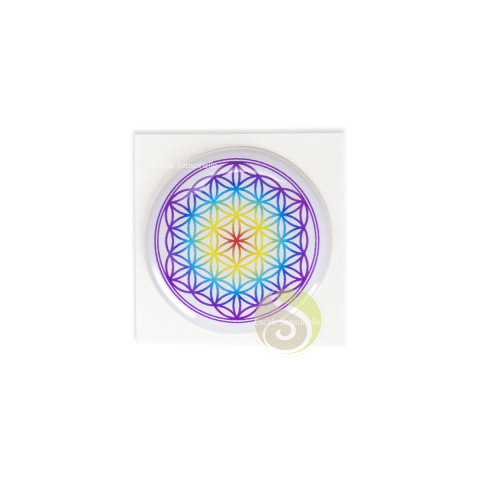 Fleur de vie 3D multicolore
