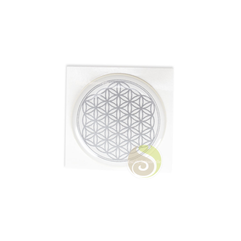 Fleur de vie 3D argent