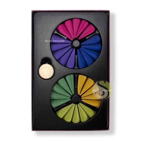 Assortiment floral word cônes