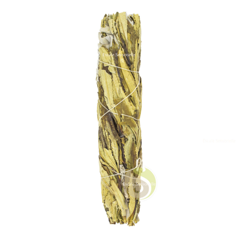 Bâton Yerba Santa et sauge banche  pour rituels chamaniques