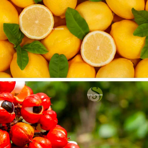 Gel douche Bio citron & guarana