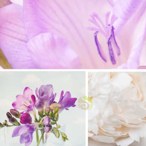 Gel douche fleurs