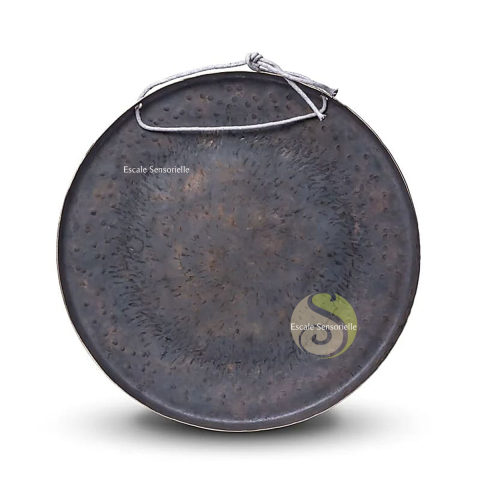 Gong terre