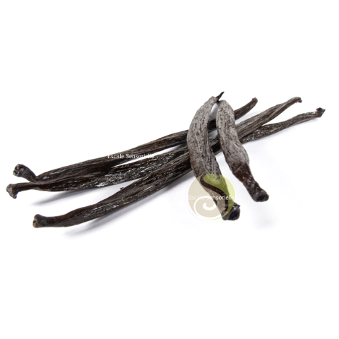 Gousse de vanille d’Ouganda Gourmet 17 cm et 2.4% de vanilline