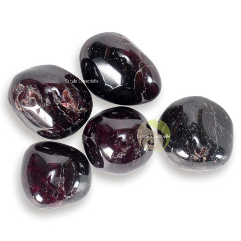 Grenat Brésil pierre naturelle roulée collection lithothérapie