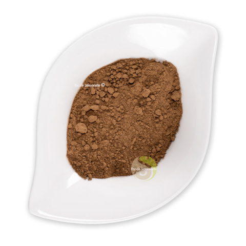 Hojicha en poudre organic thé vert japonais torréfié 