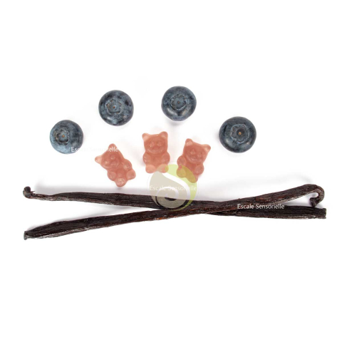 L'infusion câline vanille myrtille vegan