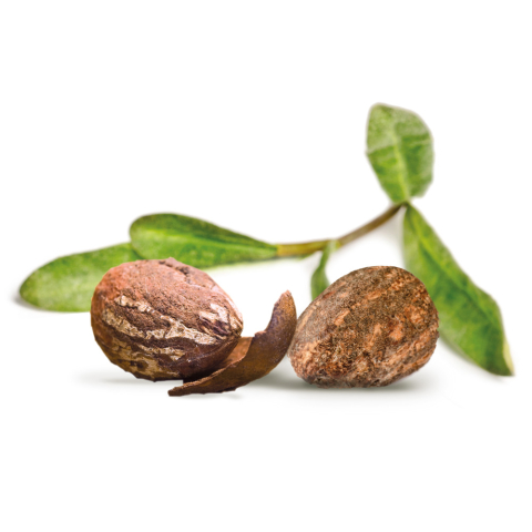 Baume au karité & argan Bio
